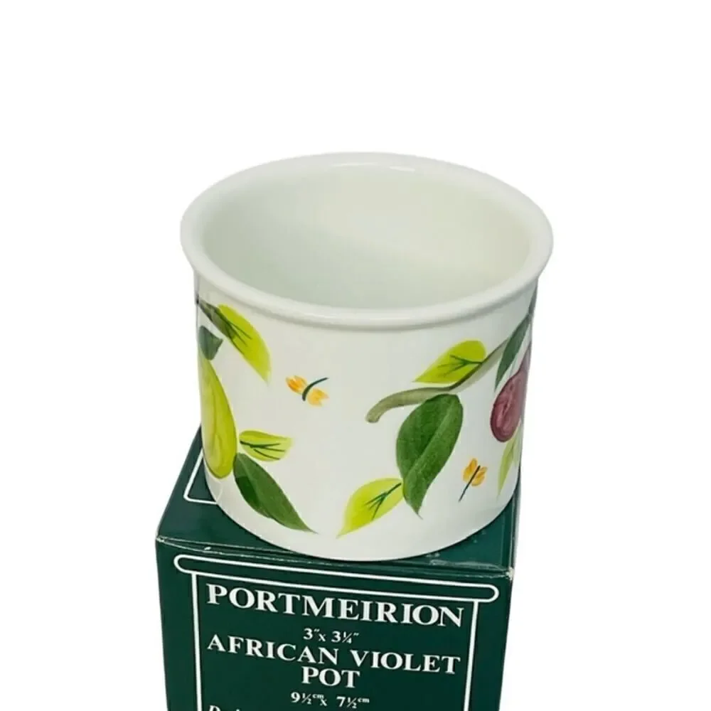 Portmeirion Succulent Plant African Violet Cache Pot Summer Fruits